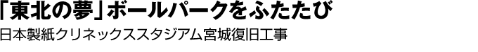 「東北の夢」ボールパークをふたたび　日本製紙クリネックススタジアム宮城復旧工事