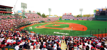 写真：スタジアム観戦風景