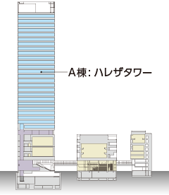 図版：断面図