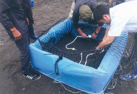 図版：調査時の様子。青いモジ網で石倉カゴを包む