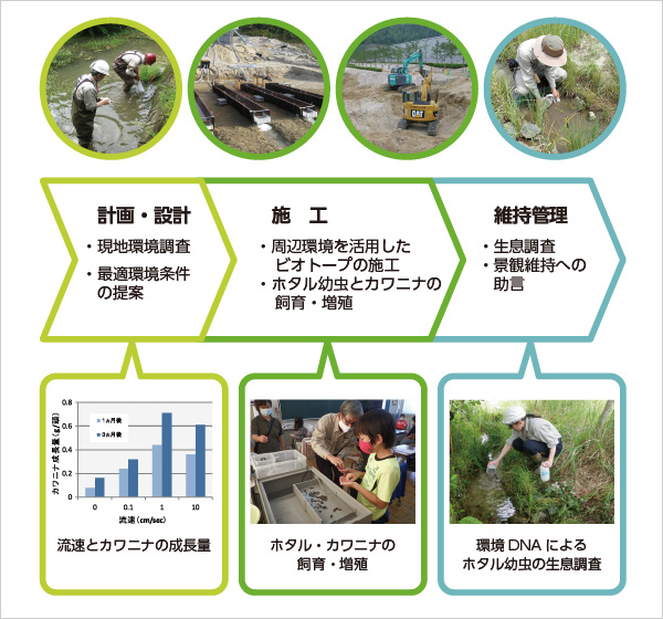 図版：ビオトープ創生の流れ