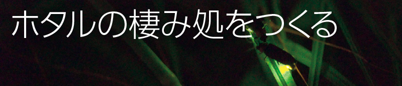 ホタルの棲み処をつくる