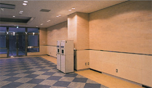 �n���H���ł̎g�p��