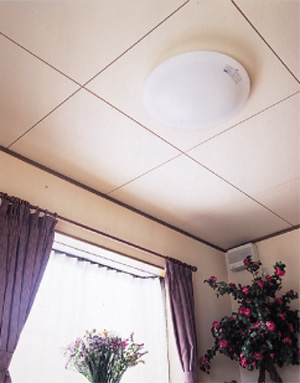 �l�Z��̓V��ւ̎g�p��