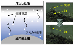 �C�A�A�s�@