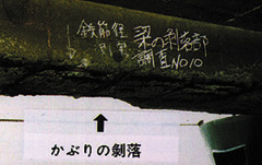 ���Q�ɂ���(����)�̈��