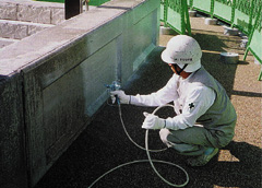 �h�z�󋵁B�h�z��͖��F�����ɂȂ�