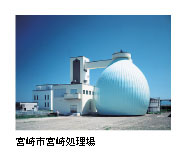 {s{菈