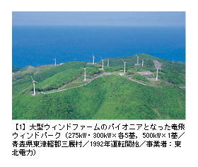 y1z^EBht@[̃pCIjAƂȂEBhp[Ni275kWE300kW~e5C500kW~1^XÌySOX^1992N^]Jn^ƎҁFkd́j