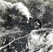 写真：台湾・阿里山鉄道（明治44年）