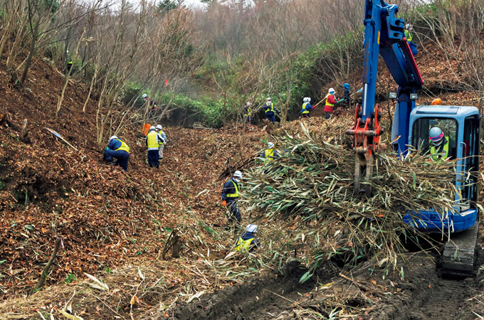 写真：田村市の山林を除染する様子 （2012年11月）