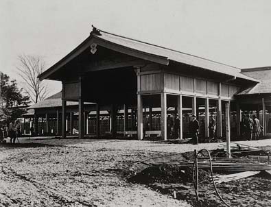 �V�h�䉑���w