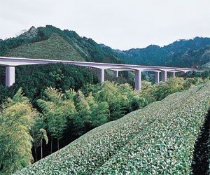 第二東名 南沢川橋(PC上部工)工事
