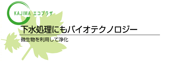 下水処理にもバイオテクノロジー