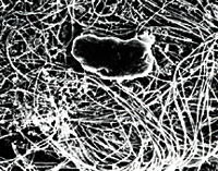 ���C��������