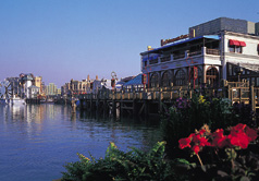 ���O�[��