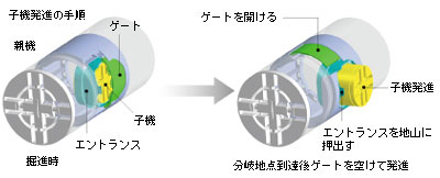 q@i̎菇