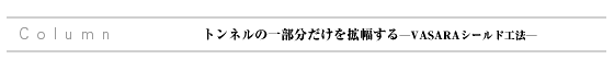 gl̈ꕔg\VASARAV[hH@\