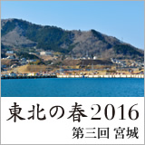 東北の春2016　第3回　宮城 イメージ