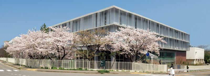 図版：新潟青陵大学・新潟青陵大学短期大学部1号館