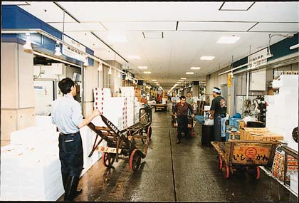 �����X��