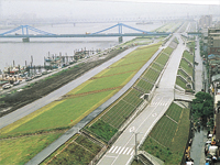 �r���h�i�����s�j