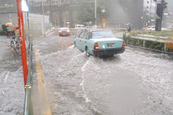 ���N�V���̏W�����J���̗��r�����_�t�߂̐Z����