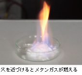 ΂߂Âƃ^KXR
