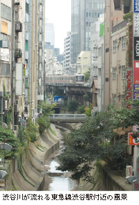 aJ삪铌}aJwt߂̕i