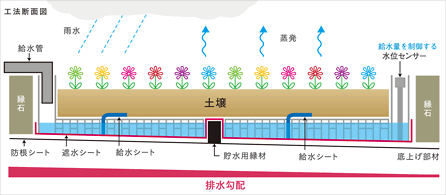 図：エバークールガーデンの断面図