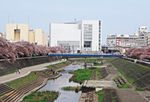 写真：ホール設計のコンセプトとなった柏尾川と桜の風景