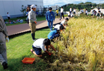 写真：子供たちの食育の場となる屋上農園