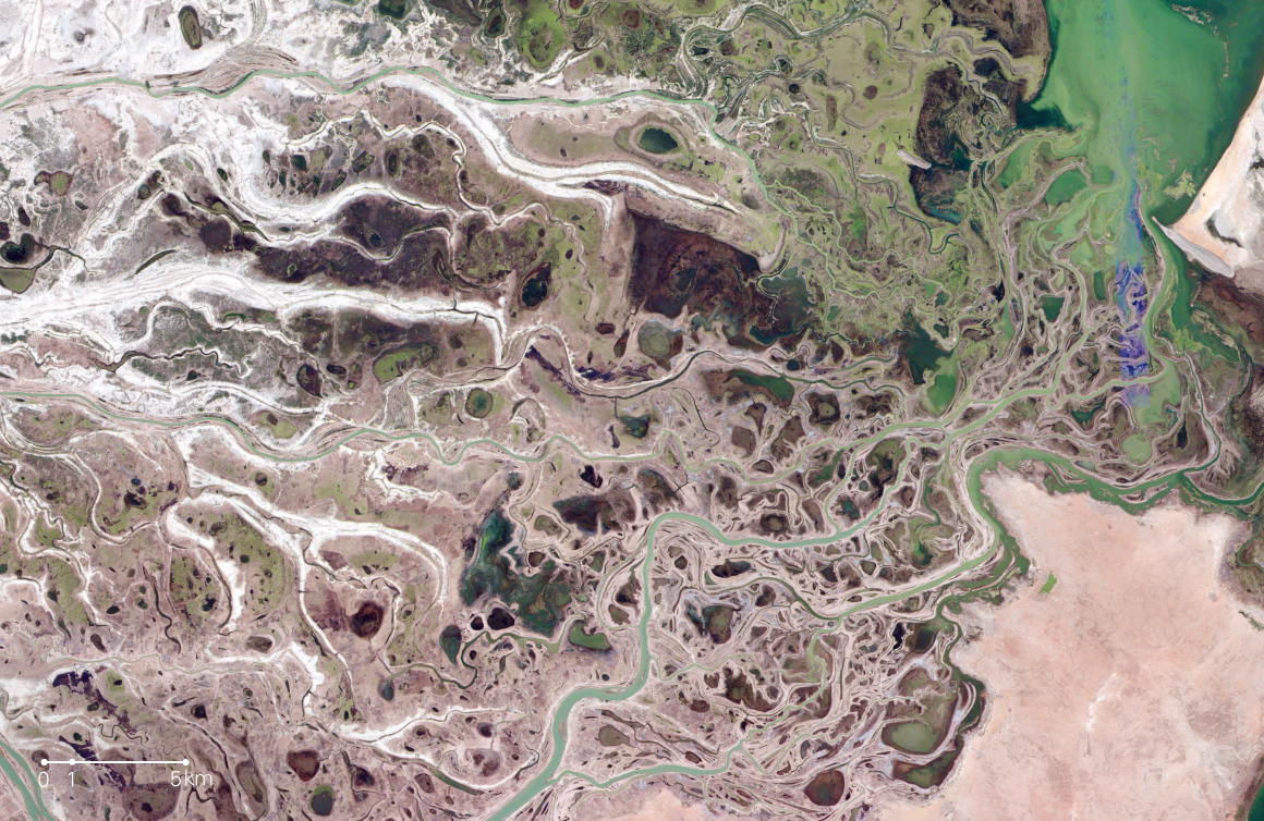 図版：網状に増殖する川（モプティ，マリ）