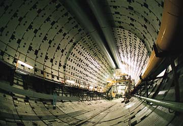 �O�s�����H