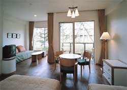 �m���^�C�v