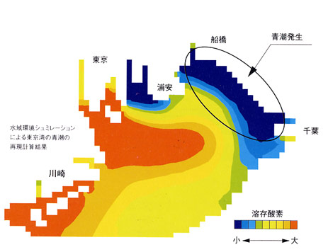 海洋環境シミュレーション 水の流れと生物 環境シミュレーション