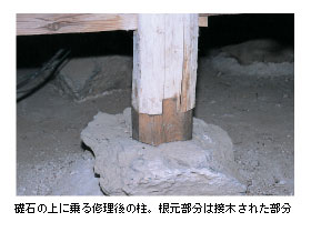 礎石の上に乗る修理後の柱。根元部分は接木された部分