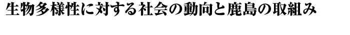 生物多様性に対する社会の動向と鹿島の取組み