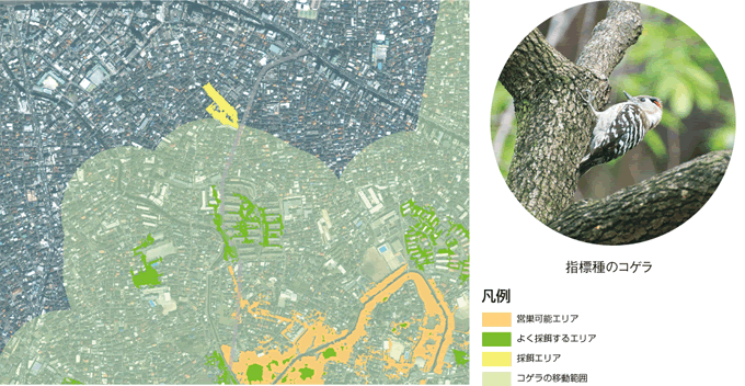 写真：野鳥の生息エリアなどがわかりやすく表示される