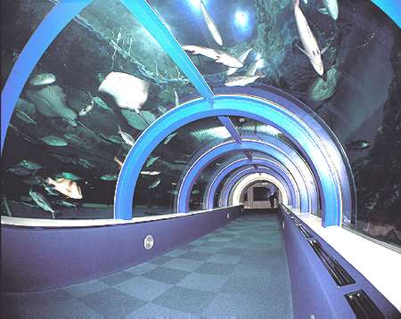 �g���l������