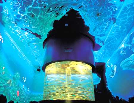 �A�N�A�z�[��