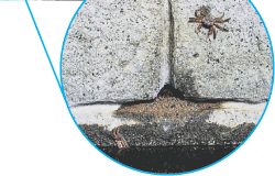 JjDނ悤ʂڒnCZ݂ƂȂ錊݂Ă