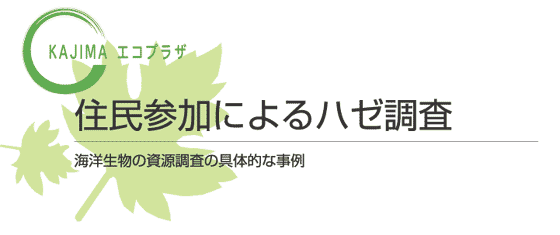 ZQɂn[