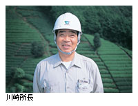 菊