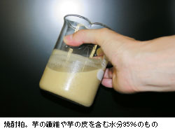 ĒB̑@ۂ̔܂ސ95̂