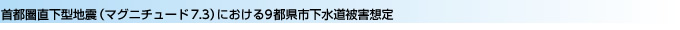 首都圏直下型地震（マグニチュード7.3）における9都県市下水道被害想定