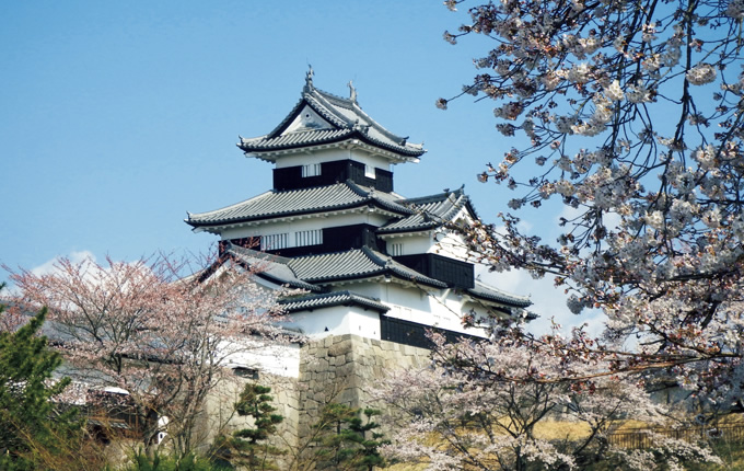 写真：三重櫓と桜