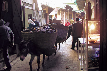 写真：ロバやラバが物資を運ぶ