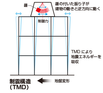 図版：TMD