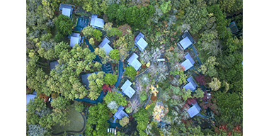 図版：持続可能な森林づくり